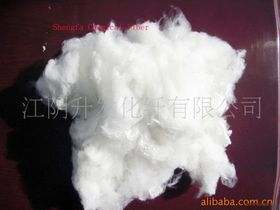 滌綸化纖產品 特性、應用與未來趨勢